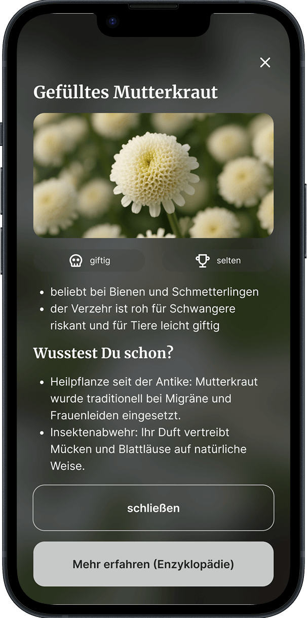 Hauptfunktion Screen 3